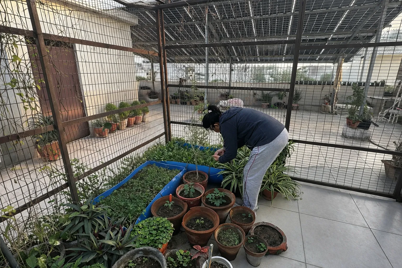 Home Garden & Plants